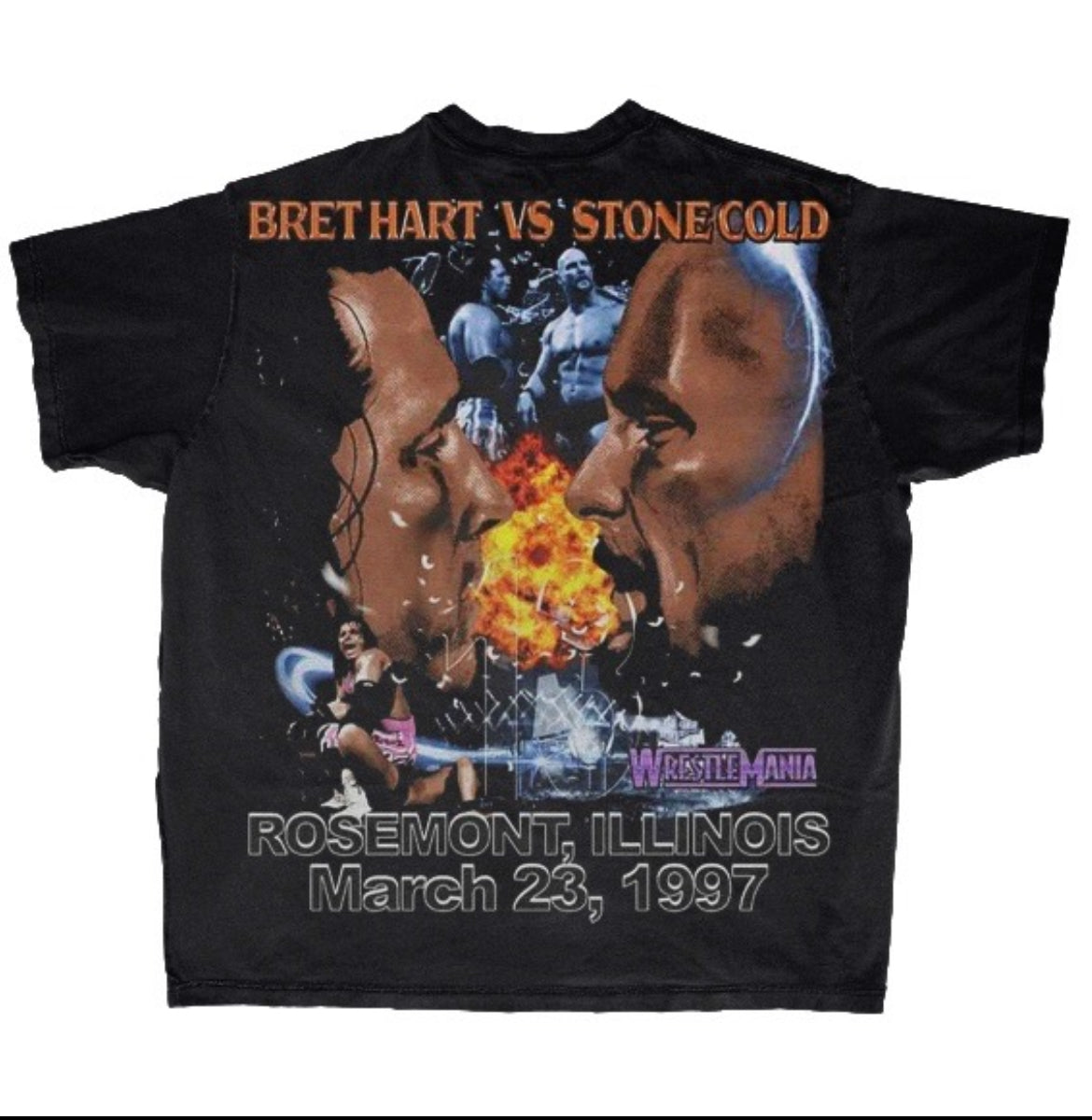 Bret Hart vs Stone Cold